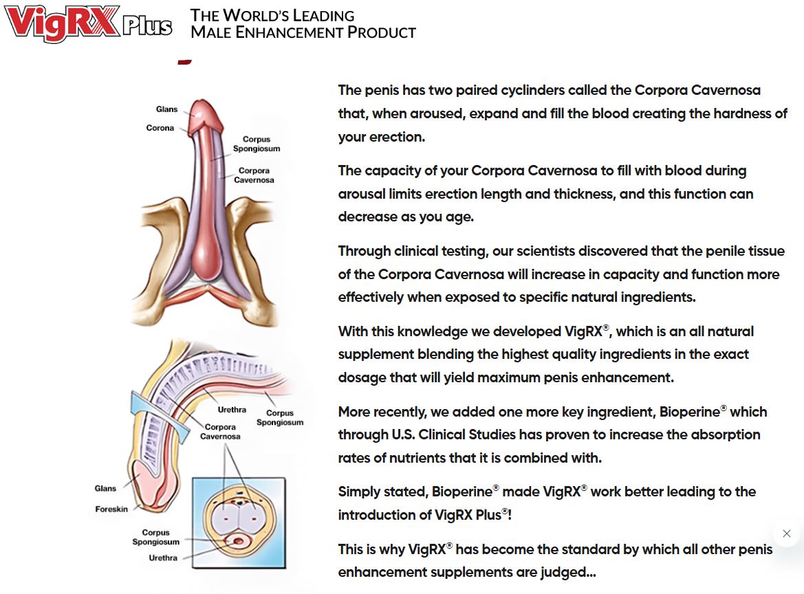 erectile dysfunction solution  impotence